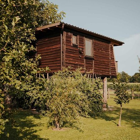 فندق Treehouse Drevesna Hiska Strkovo Gnezdo Ranc Jures ليوتومير المظهر الخارجي الصورة