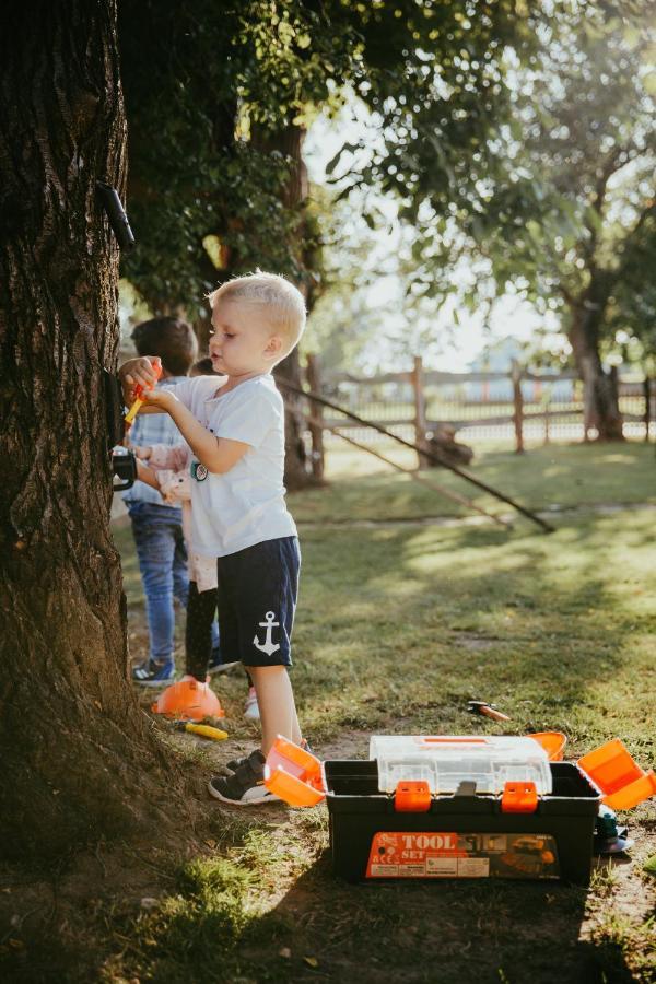 فندق Treehouse Drevesna Hiska Strkovo Gnezdo Ranc Jures ليوتومير المظهر الخارجي الصورة