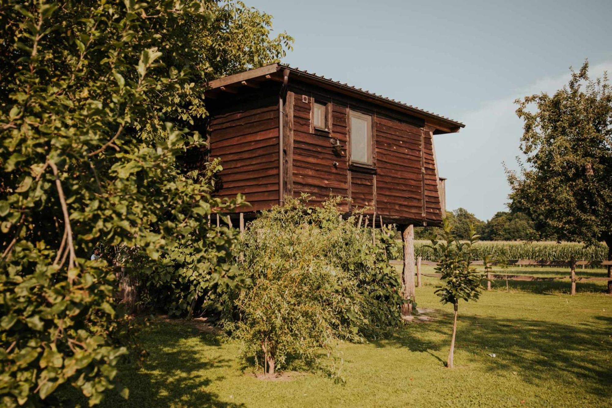 فندق Treehouse Drevesna Hiska Strkovo Gnezdo Ranc Jures ليوتومير المظهر الخارجي الصورة